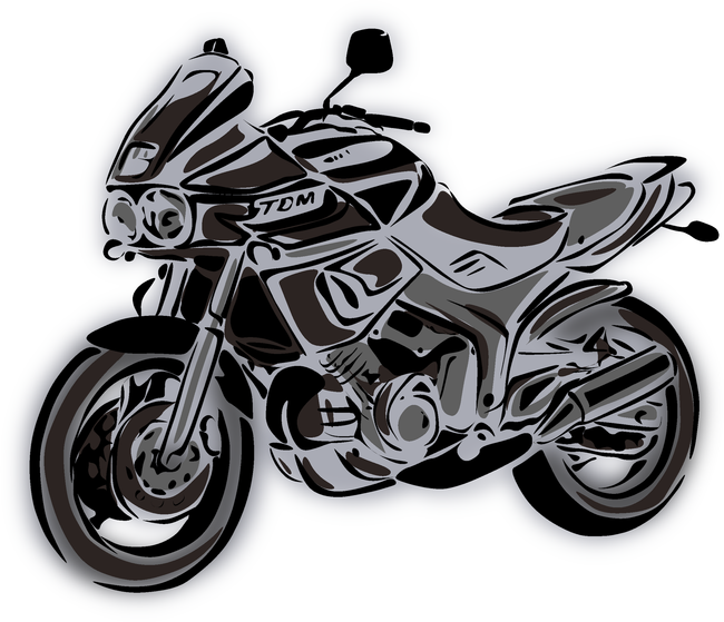 TDM850