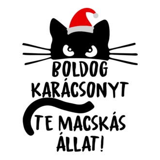 Boldog karácsonyt te macskás állat