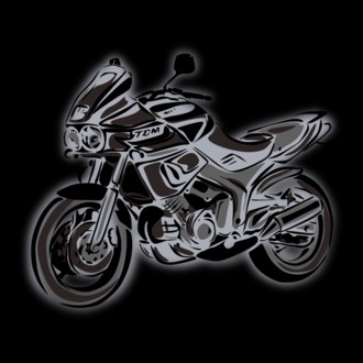 TDM850